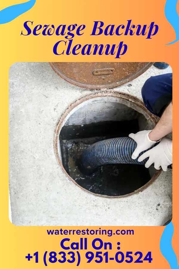Sewage Backup Cleanup in Benton, MO