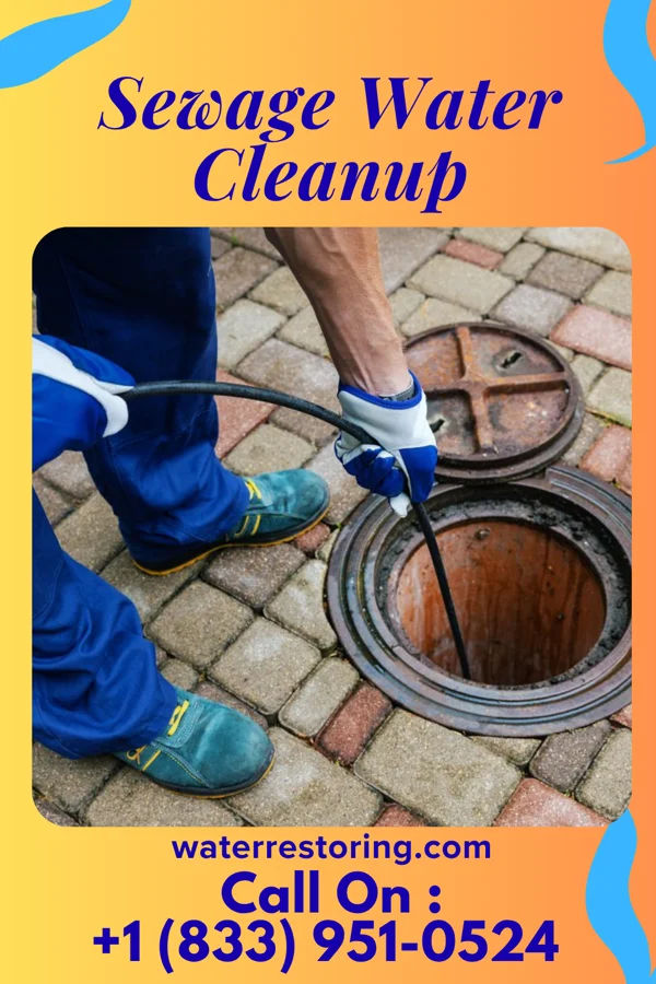 Sewage Water Cleanup in Benton, MO